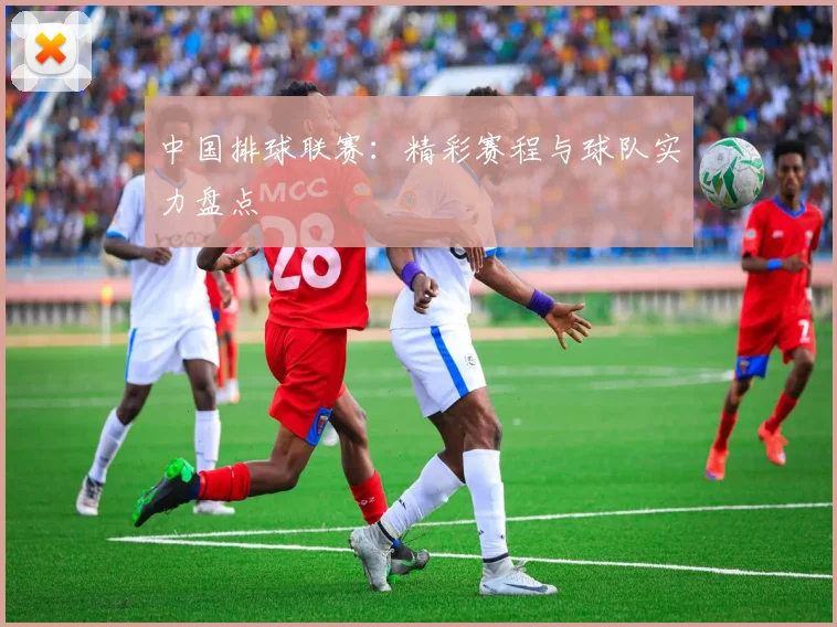 中国排球联赛:精彩赛程与球队实力盘点