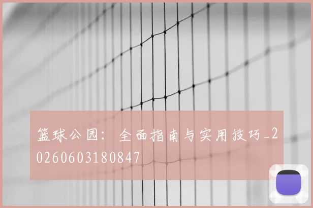 篮球公园：全面指南与实用技巧_20260603180847