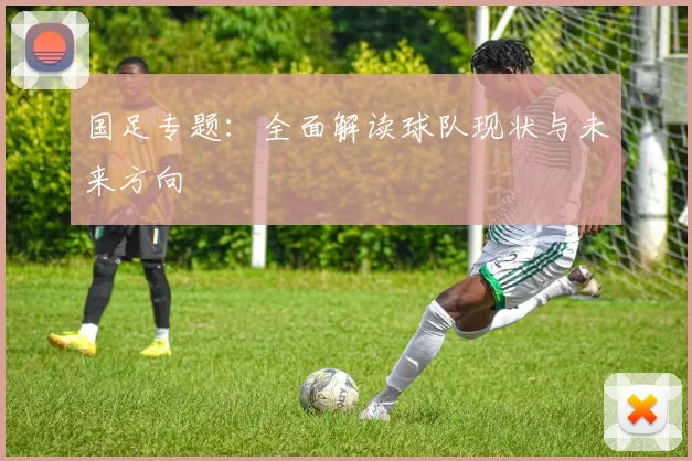国足专题：全面解读球队现状与未来方向